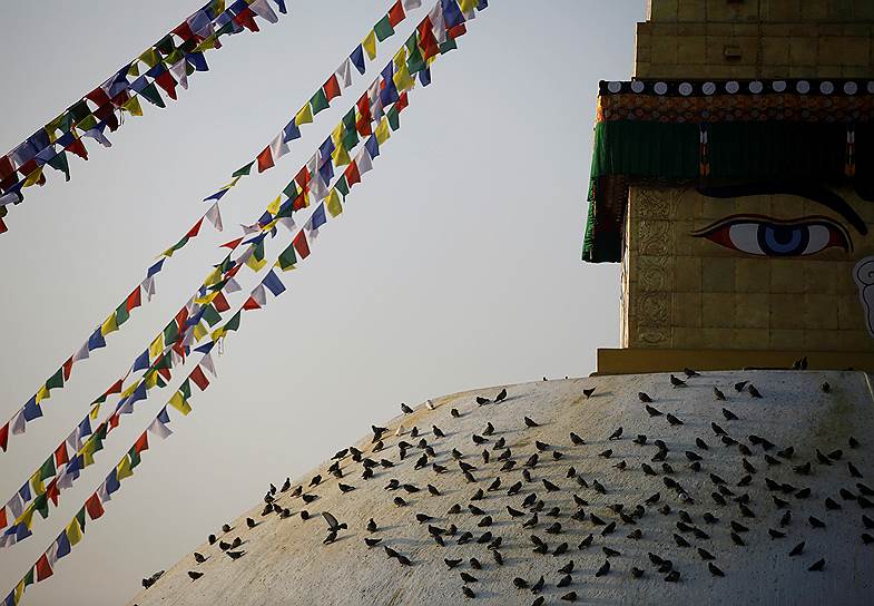 Катманду, Непал. Голуби у открывшегося буддистского храма