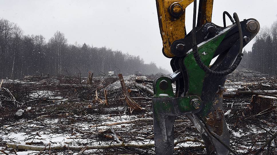 Мосгордума отказалась запрещать вырубки деревьев под строительство