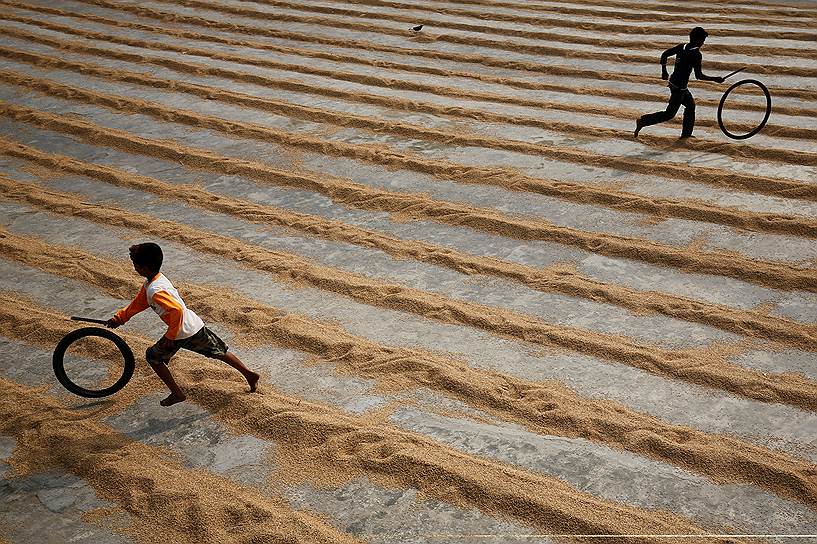 Дакка, Бангладеш. Дети играют с велосипедными шинами на рисовом поле