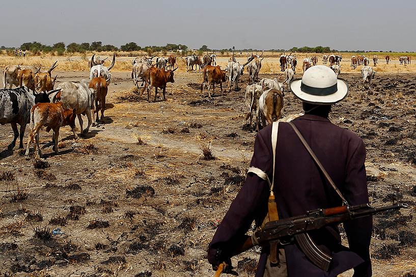 Нимини, Южный Судан. Вооруженный местный житель пасет скот 