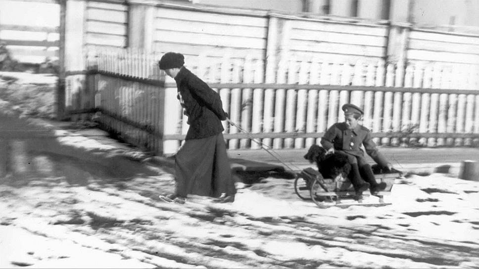Одной из трех собак, отправившихся вместе с царской семьей в ссылку, был спаниель по кличке Джой (на фото)