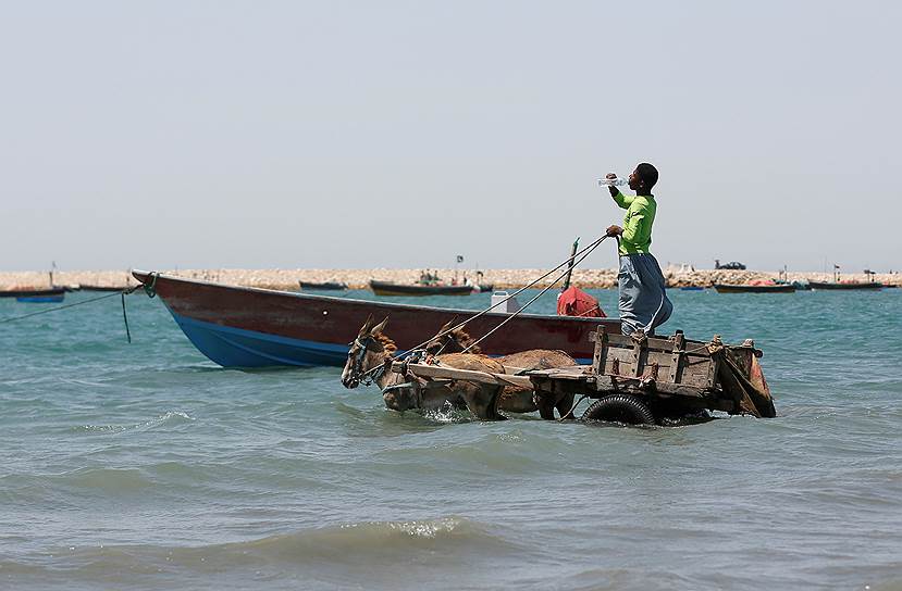 Гвадар, Пакистан. Местный житель ждет грузовое судно на тележке с ослами