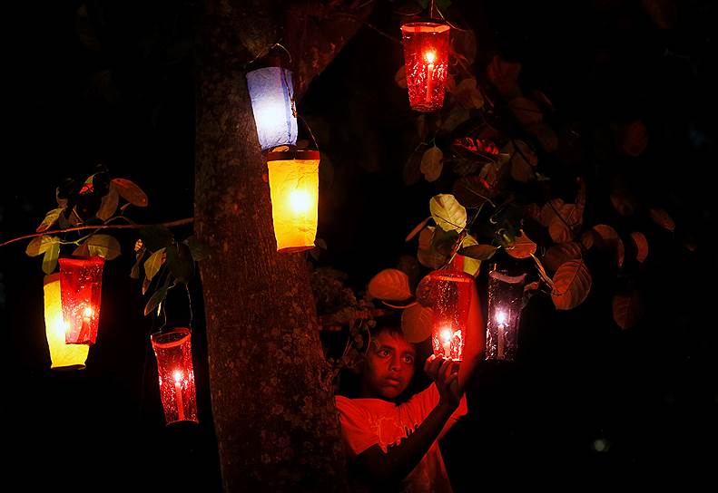 Коломбо, Шри-Ланка. Мальчик вешает фонари на дерево перед праздником Весак