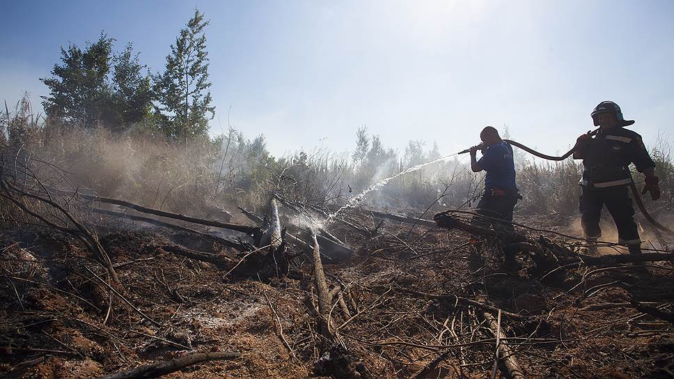 Почему высока вероятность природных пожаров в Сибири