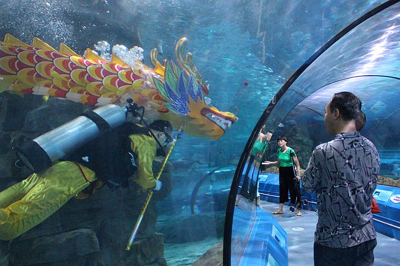Чанчунь, Китай. Посетители океанариума наблюдают за аквалангистом, который занят подготовкой к празднику драконьих лодок 

