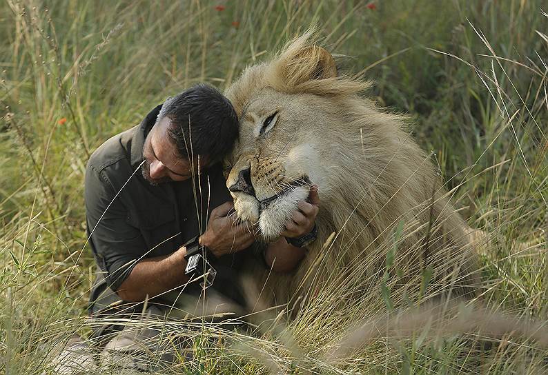 Претория, Южная Африка. Зоолог Кевин Ричардсон обнимается со львом 