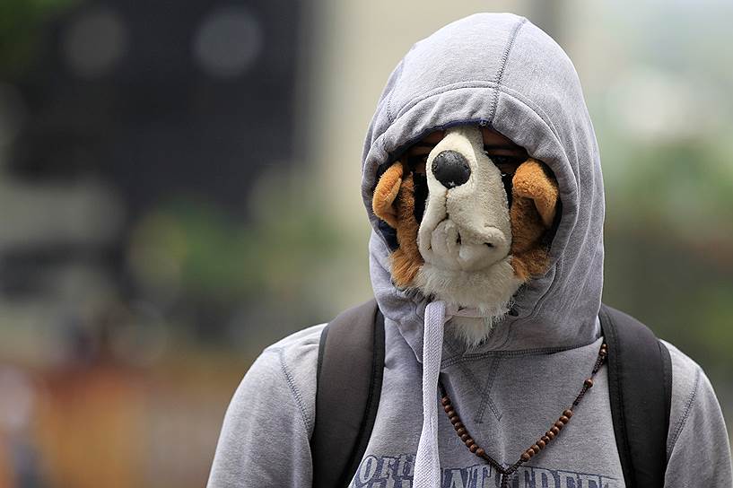 Каракас, Венесуэла. Участник антиправительственной акции в маске собаки