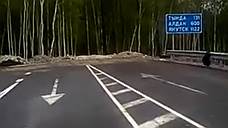 В Приамурье построили дорогу в лес