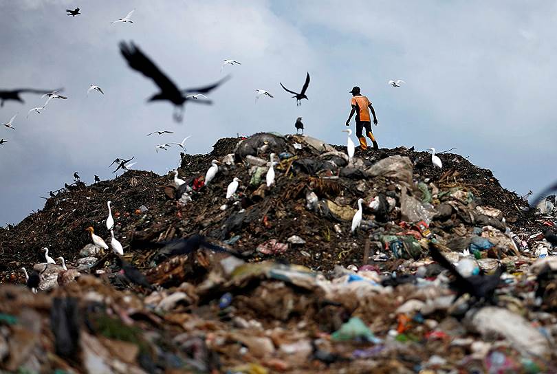 Коломбо, Шри-Ланка. Мужчина собирает на мусорной свалке пластик для дальнейшей переработки 