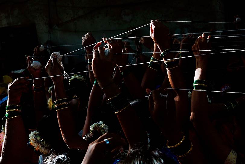 Мумбаи, Индия. Замужние индианки обвязывают ствол дерева баньян хлопковыми нитями как часть ритуала на фестивале Ват Савитри, во время которого женщины молятся о здоровье и долгой жизни мужей
