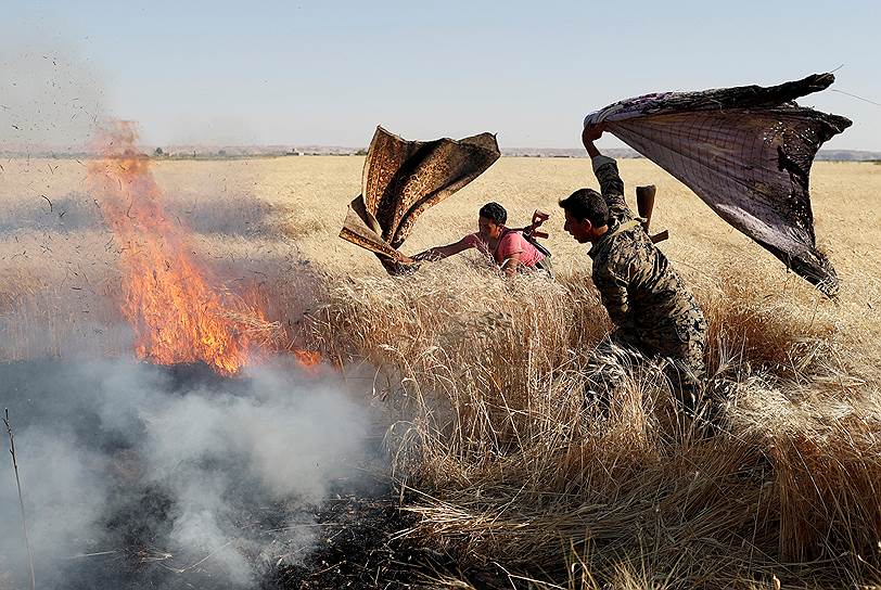 Ракка, Сирия. Курдские военные тушат пшеничное поле, загоревшееся во время столкновений с террористами «Исламского государства» (запрещено в РФ)
