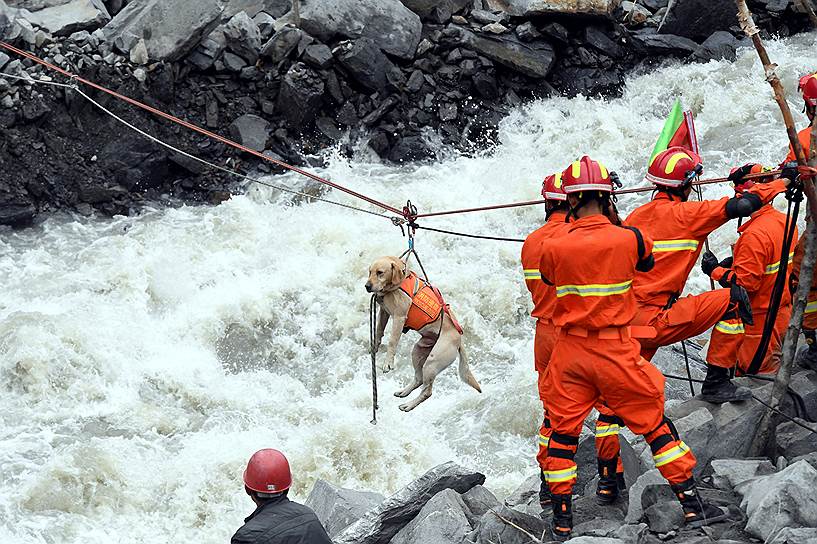 Маосянь, Китай. Спасатели переправляют через реку собаку