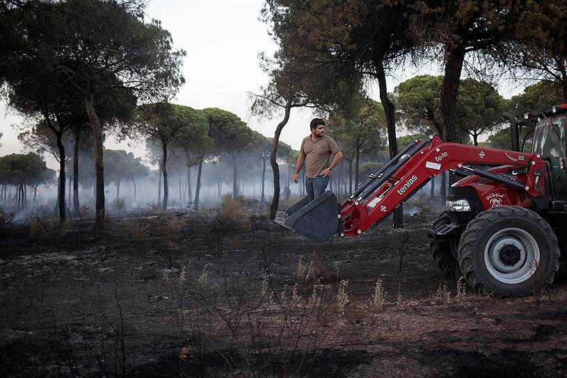 Масагон, Испания. Мужчина едет на тракторе во время тушения пожара в национальном парке Доньяна