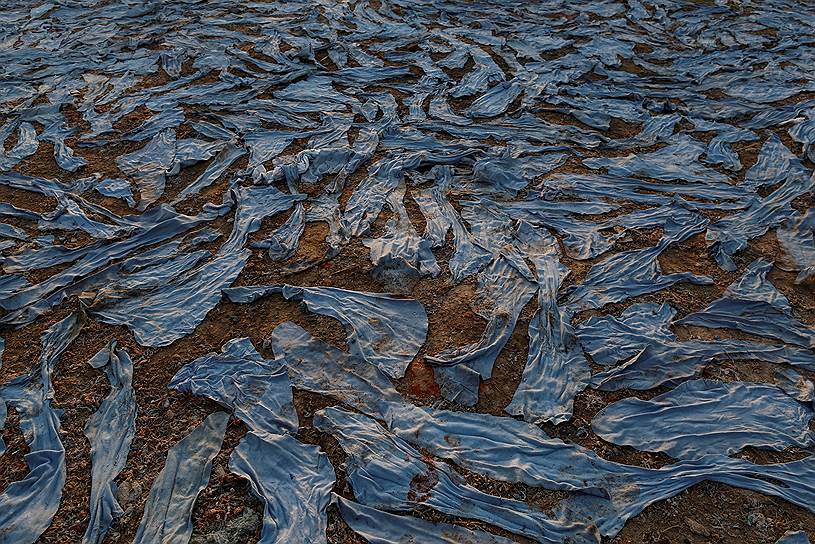 «Коричневый суп из экскрементов и промышленных стоков»&lt;br> 
В 2008 году журнал The Economist назвал Ганг самой грязной рекой в мире. Из-за промышленных предприятий и кожевенных заводов, расположенных ниже по течению реки, уровень токсичных веществ в Ганге превышает норму в 120 раз
