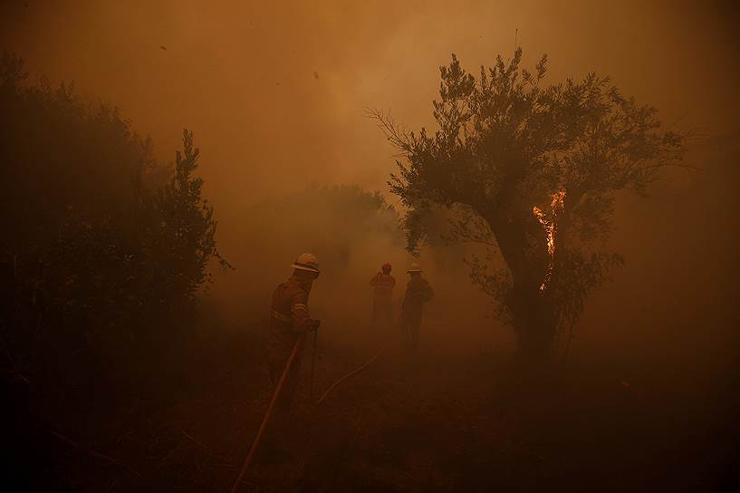 Каштелу-Бранку, Португалия. Пожарные тушат лесные пожары