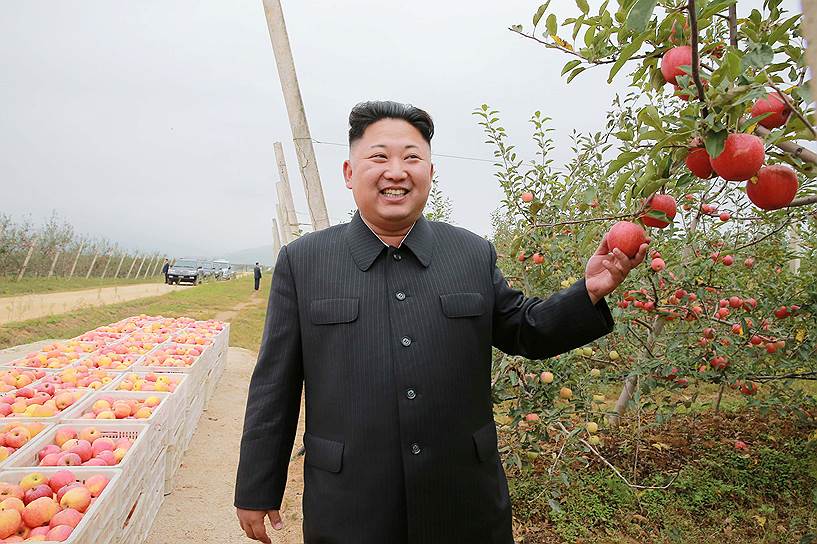 В 2016 году импорт КНДР вырос на 4,8% до $3,73 млрд за счет растительных продуктов и текстиля&lt;br>
На фото: Северокорейский лидер Ким Чен Ын осматривает фруктовую ферму уезда Косан
