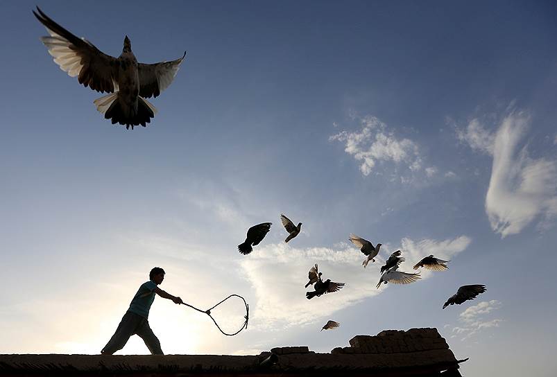 Нангархар, Афганистан. Мужчина и его домашние голуби на крыше дома