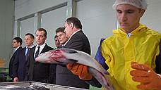 Дмитрий Медведев продолжил серию предвыборных визитов