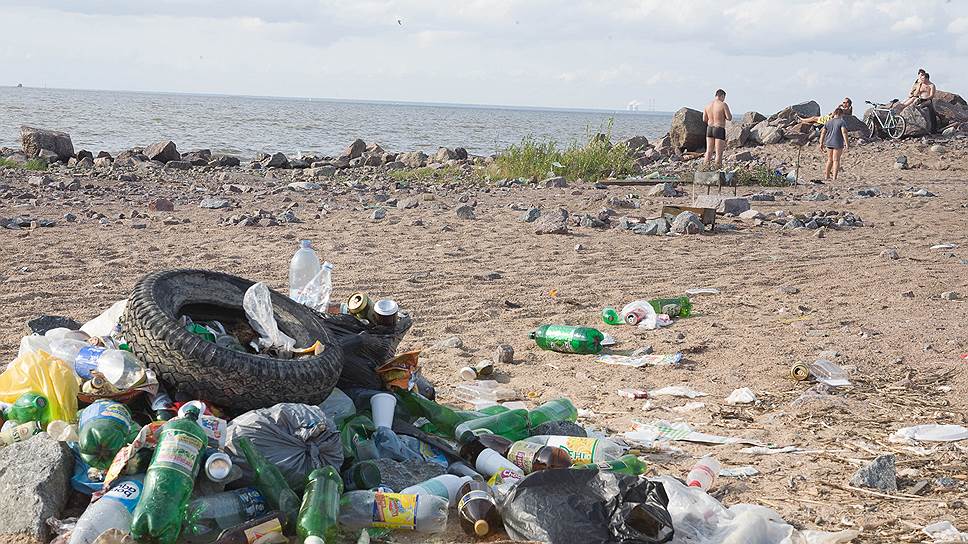Что думают россияне об экологической обстановке в стране