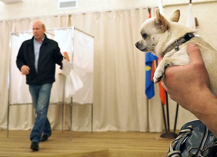 Муниципальные выборы в городском поселении Кузьмолово Ленинградской области