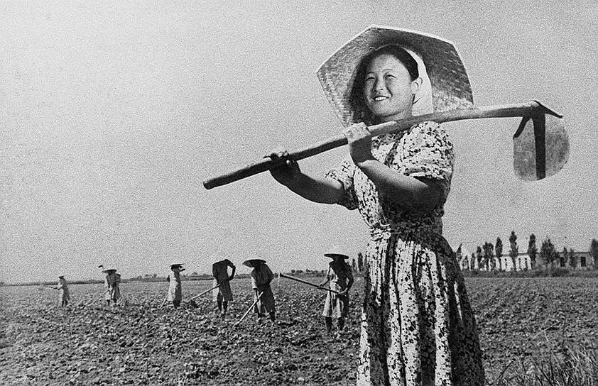 Депортация корейцев способствовала большим успехам рисоводства в Казахстане и Узбекистане и краху этой отрасли сельского хозяйства на Дальнем Востоке