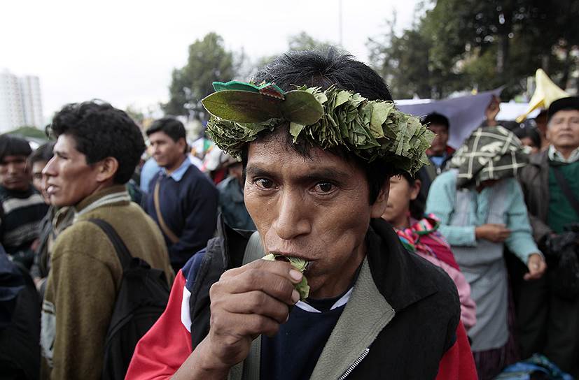 Жевание листьев коки — древняя традиция индейцев, проживающих в предгорьях Анд