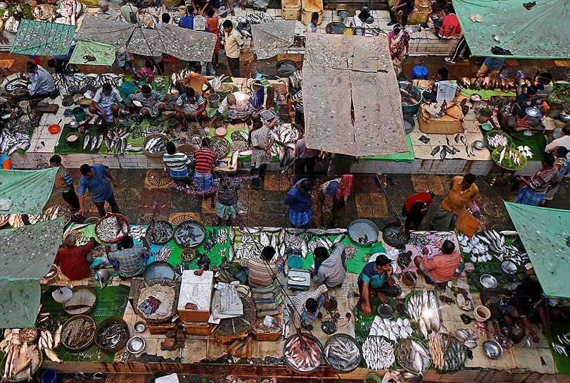 Калькутта, Индия. Продавцы и покупатели на рыбном рынке