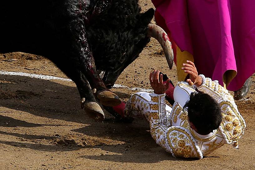 Лима, Перу. Бык атакует матадора Хосе Энрике Коломбо во время корриды
