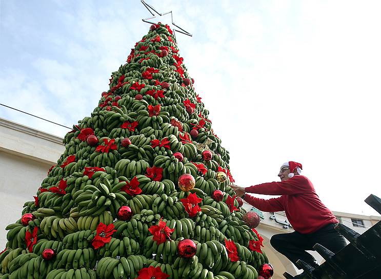 Бейрут, Ливан. Украшение рождественской ели, выполненной из бананов 