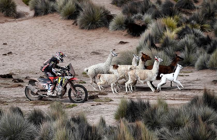 Уюни, Боливия. Аргентинский мотоциклист Диего Мартин Дюплесси на этапе ралли «Париж—Дакар» едет из Уюни в Ла-Пас 