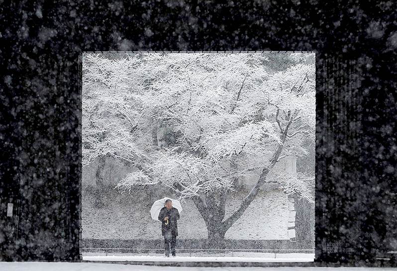 Токио, Япония. Мужчина с зонтиком в снегопад