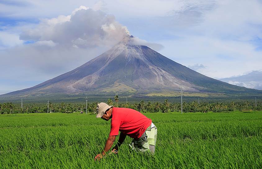 Дарага, Филиппины. Фермер обрабатывает рисовое поле на фоне вулкана Майон