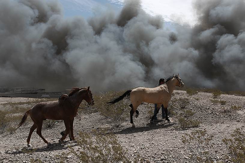 Сьюдад-Хуарес, Мексика. Спасение лошадей во время пожара на заводе по переработке отходов 