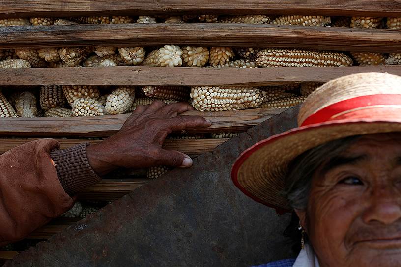 Мексиканские фермеры — одна из жертв глобализации