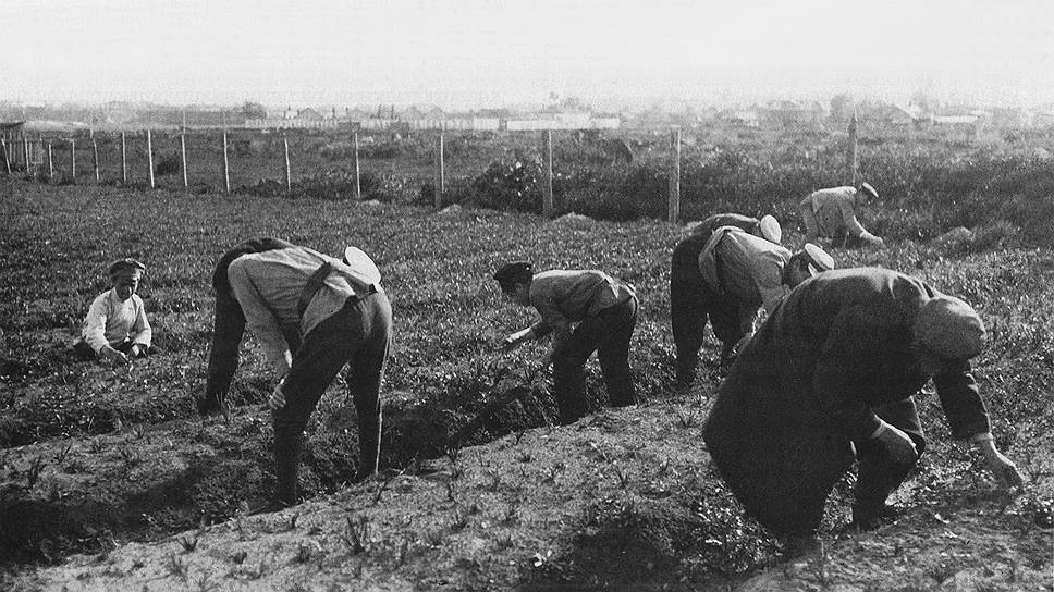 Служащие Губкомгособра на огородах, разбитых на месте разрушенных кварталов. Ярославль, 1920 год
