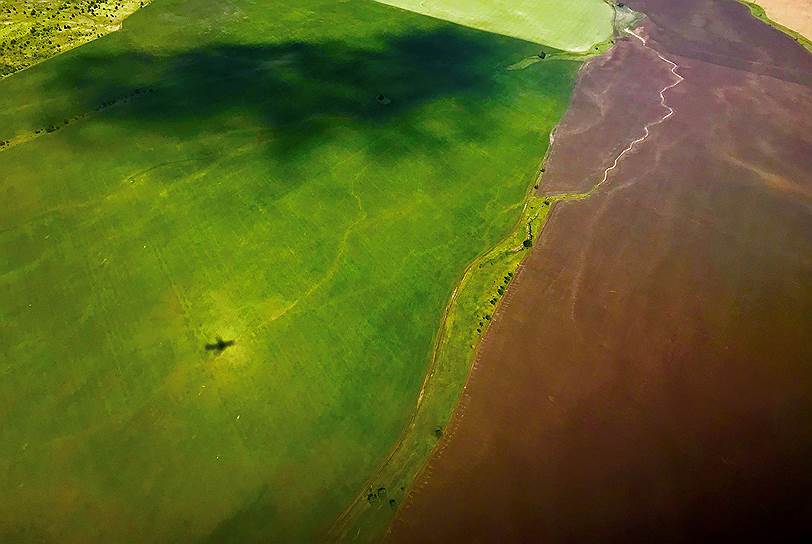 Самарская область, Россия. Тень самолета на поле после взлета из аэропорта Самары
