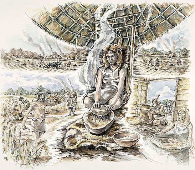 В эпоху неолита люди научились выращивать зерно, но жили меньше 30 лет