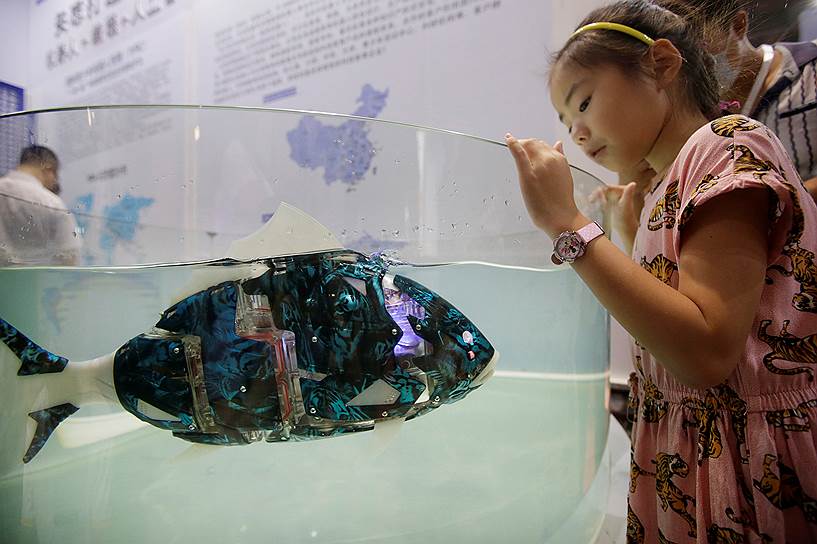 Посетители выставки увидели несколько роботизированных рыб (один из экспонатов на фото), которые способны составлять карту подводного ландшафта, изучать морских обитателей или снимать фото и видео под водой