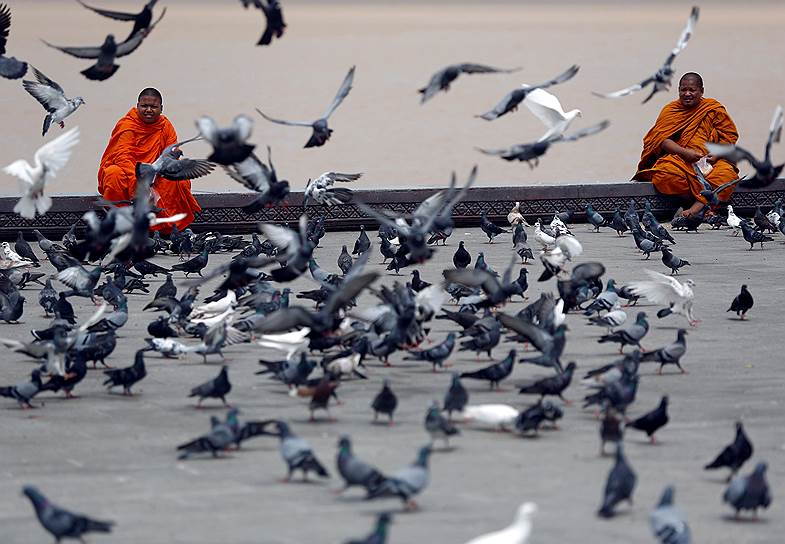 Пномпень, Камбоджа. Буддийские монахи кормят птиц на набережной у королевского дворца