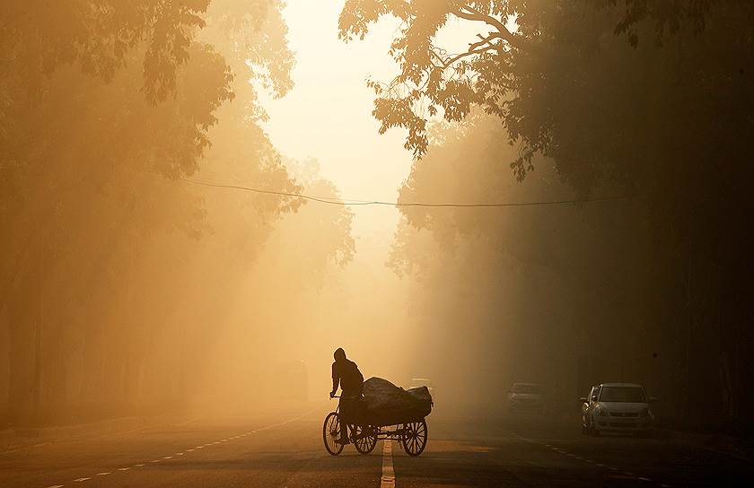 Нью-Дели, Индия. Рикша на рассвете