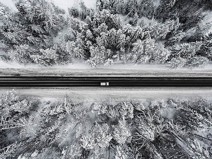 Московская область. Автомобиль едет по шоссе в заснеженном лесу