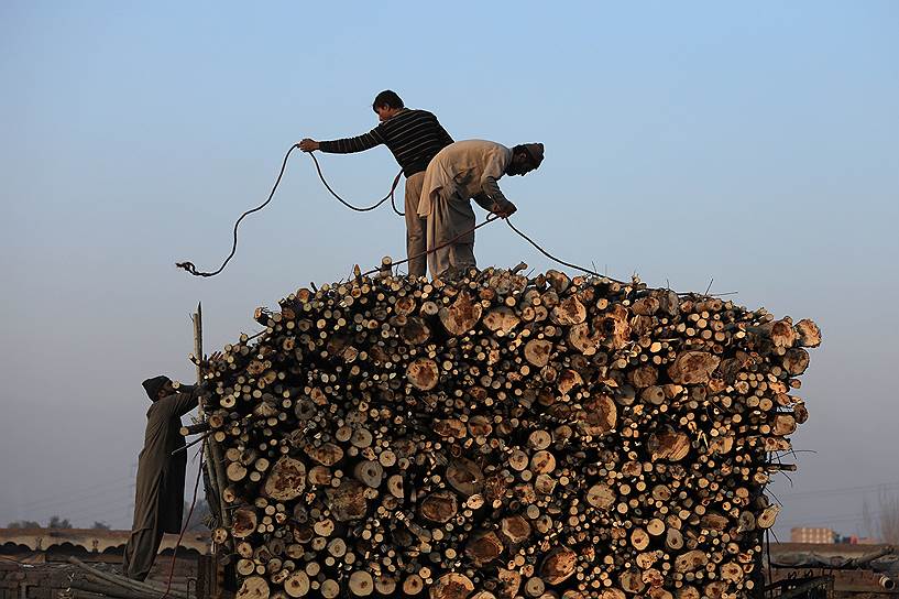 Пешавар,Пакистан. Рабочие грузят дрова