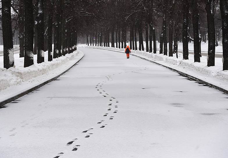 Москва, Россия. Следы пешехода на заснеженной аллее парка