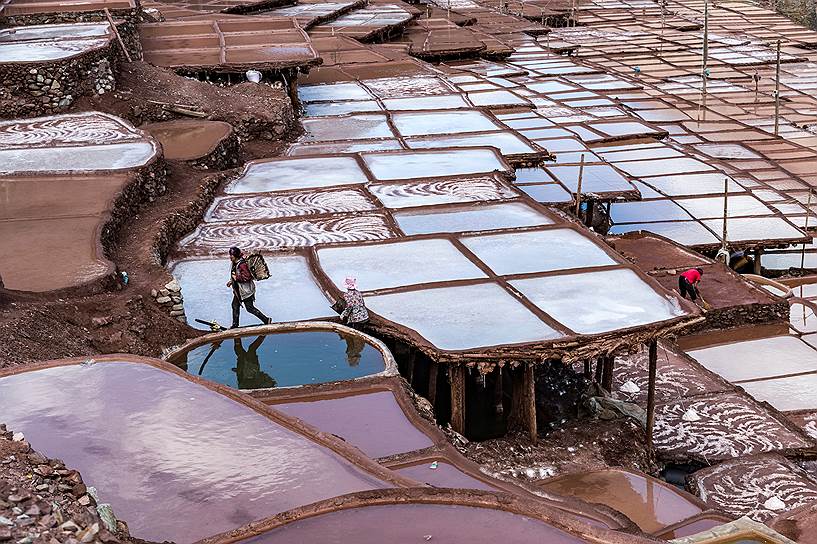 Тибет, Китай. Женщины работают на соляном поле 