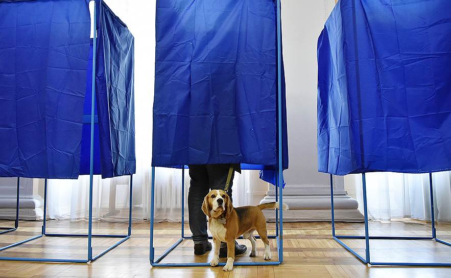 Избиратель с собакой на одном из избирательных участков в Киеве