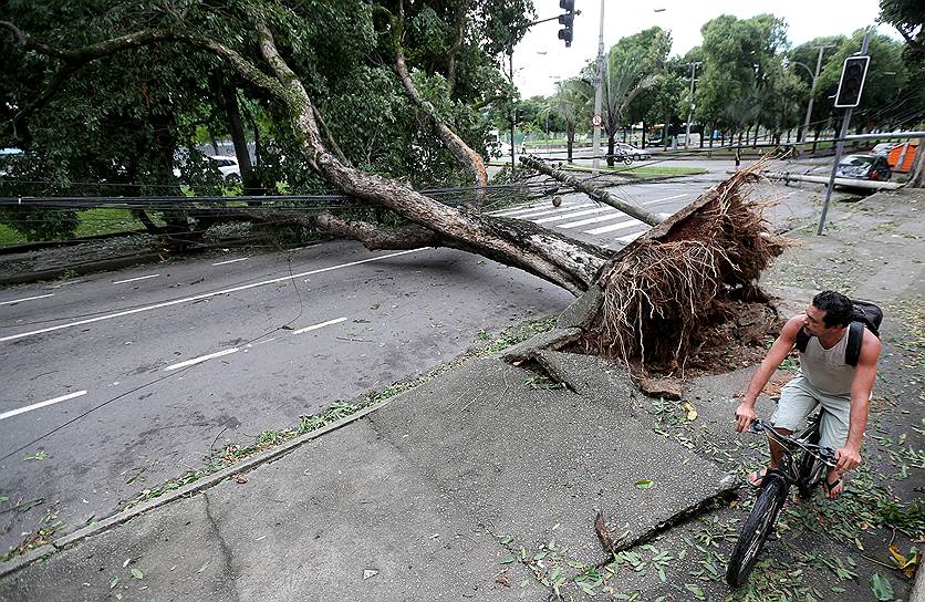 Рио-де-Жанейро, Бразилия. Мужчина проезжает мимо упавшего после проливных дождей дерева
