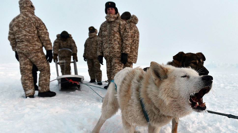 Почему США опасаются самостоятельности России в Арктике