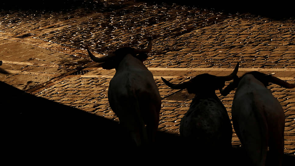 Памплона, Испания. Традиционный забег с быками