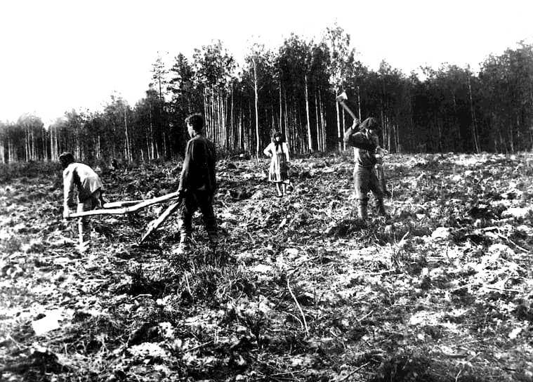 Земельные наделы 1861. Переселенцы на Сахалин 1945-1959. Переселение в Москве 1983. Переселение на Дальний Восток Куприянов Исай. Переселенцы Тайга слушать.