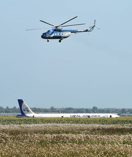 Московская область, Россия. Самолет Airbus A321 после жесткой посадки в кукурузном поле